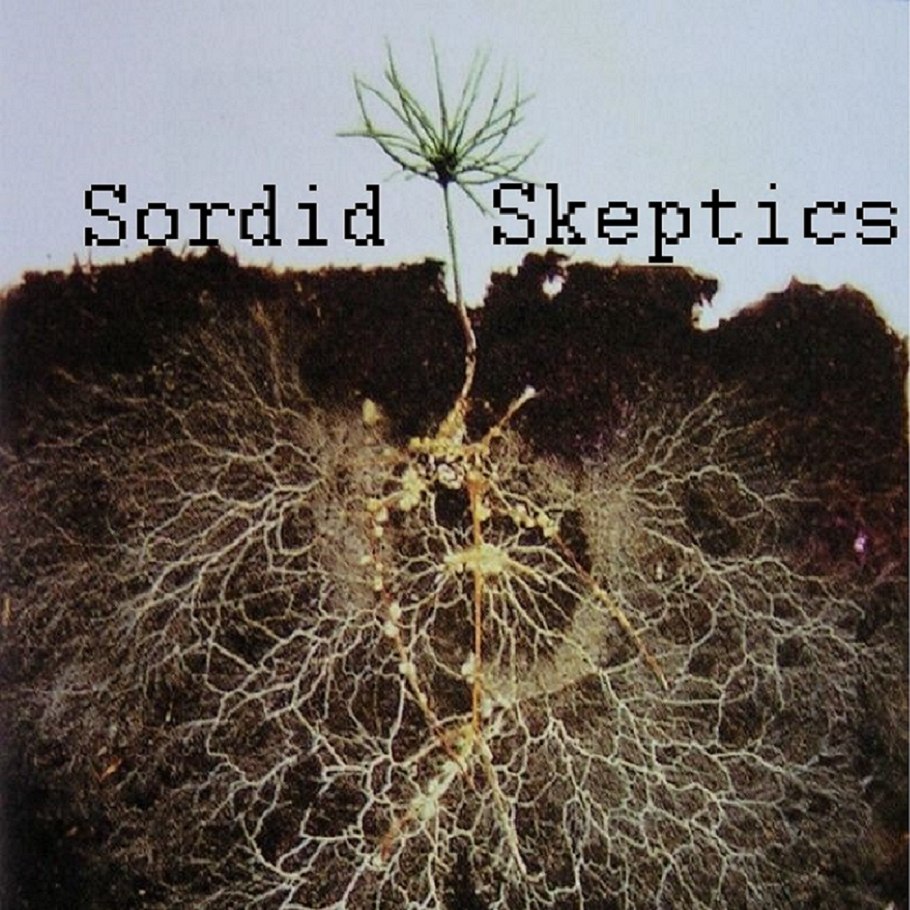 Микориза на корнях