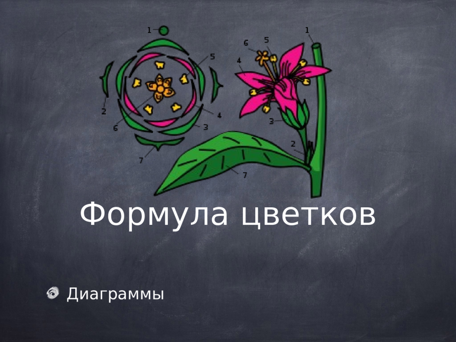 Типы плодов покрытосеменных растений