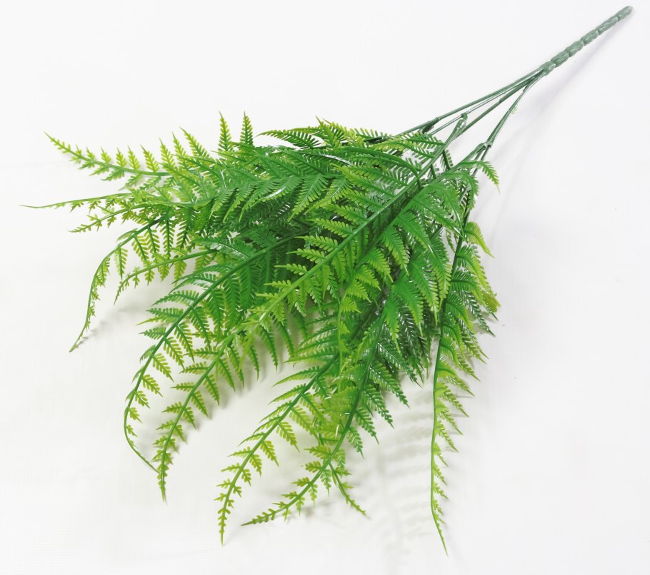 Отмирание растений и животных