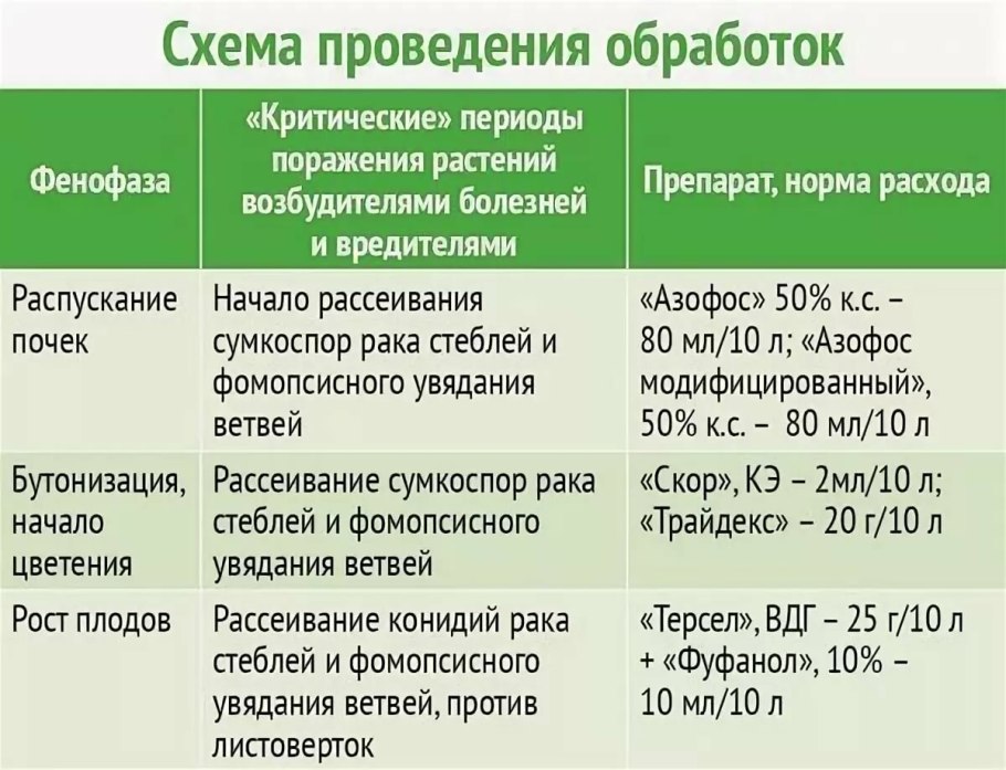 Фитоспорин-м порошок