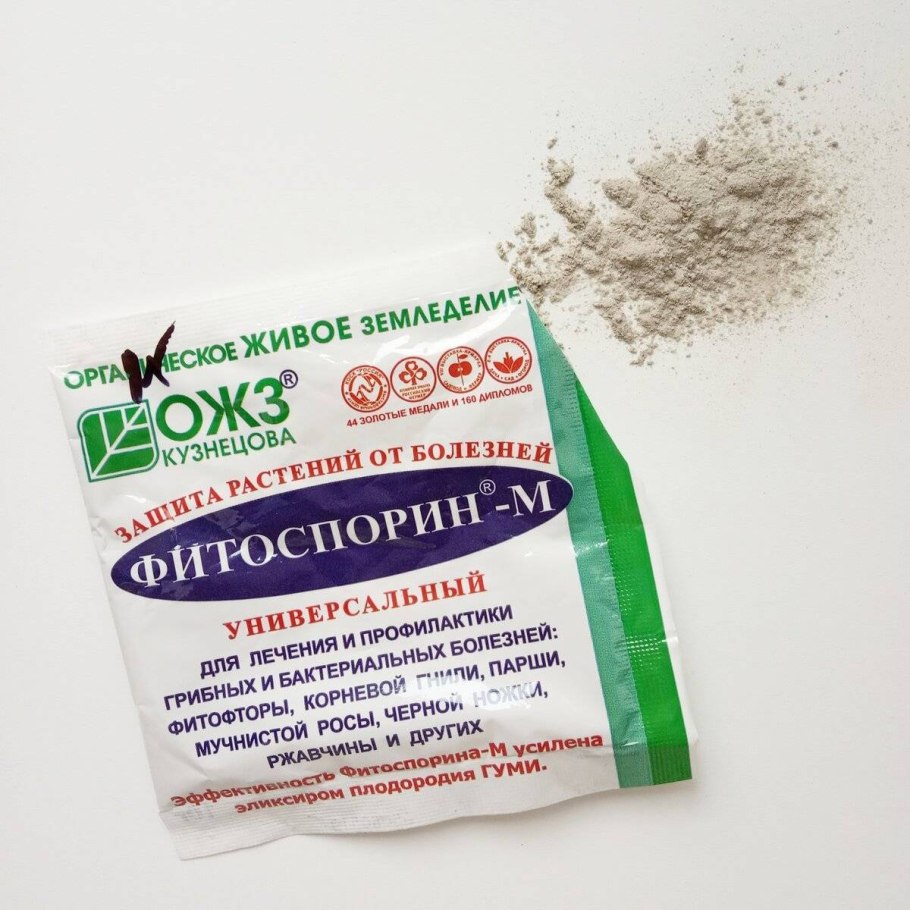 Опрыскивание плодовых деревьев
