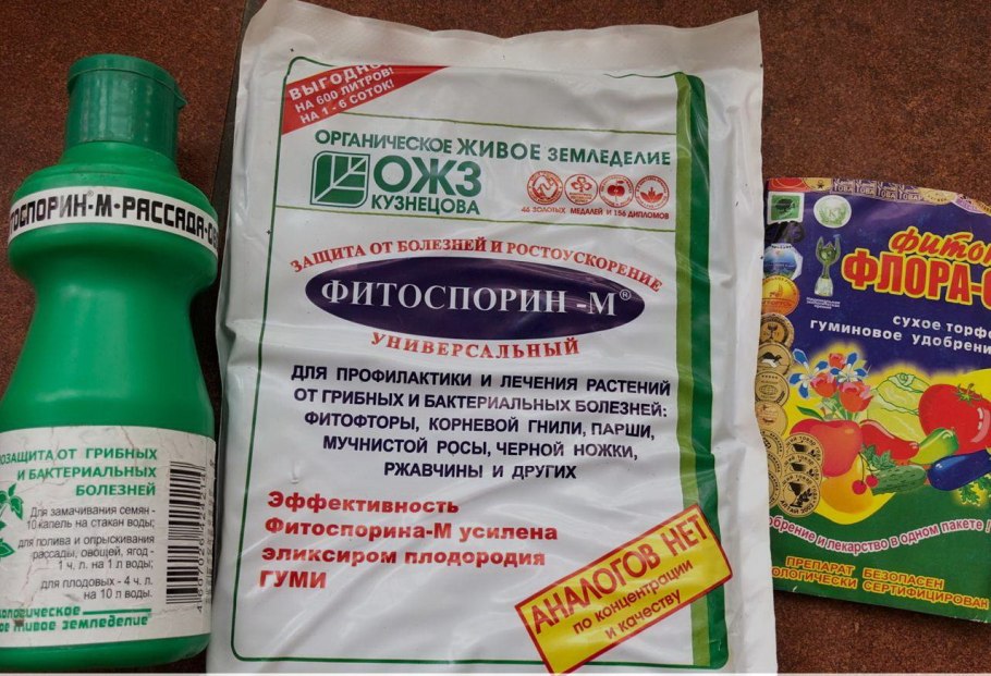 Обработка сада от болезней и вредителей