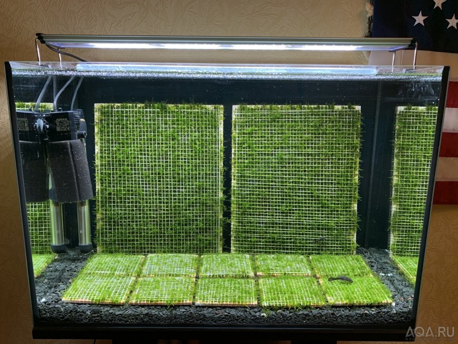 DEWAL SPP-21 губка