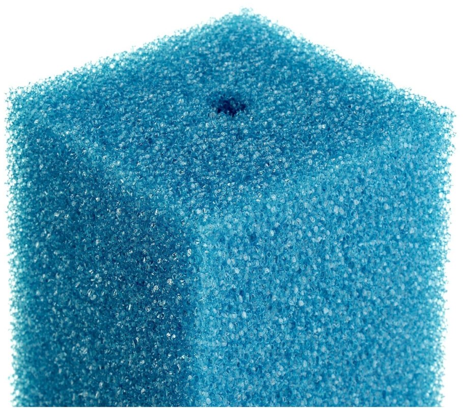 Cladophora Aegagropila