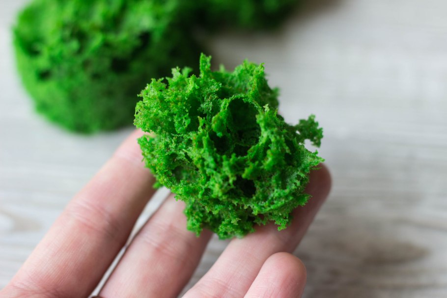 Яванский мох и риччия