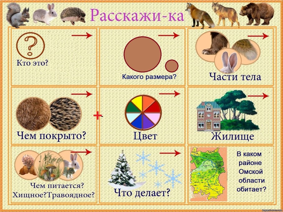 Классификация растений для детей