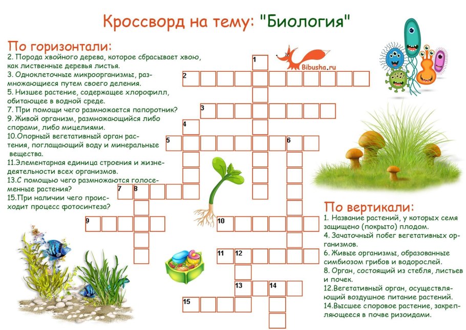 Чистоговорки про овощи и фрукты для детей 4-5 лет