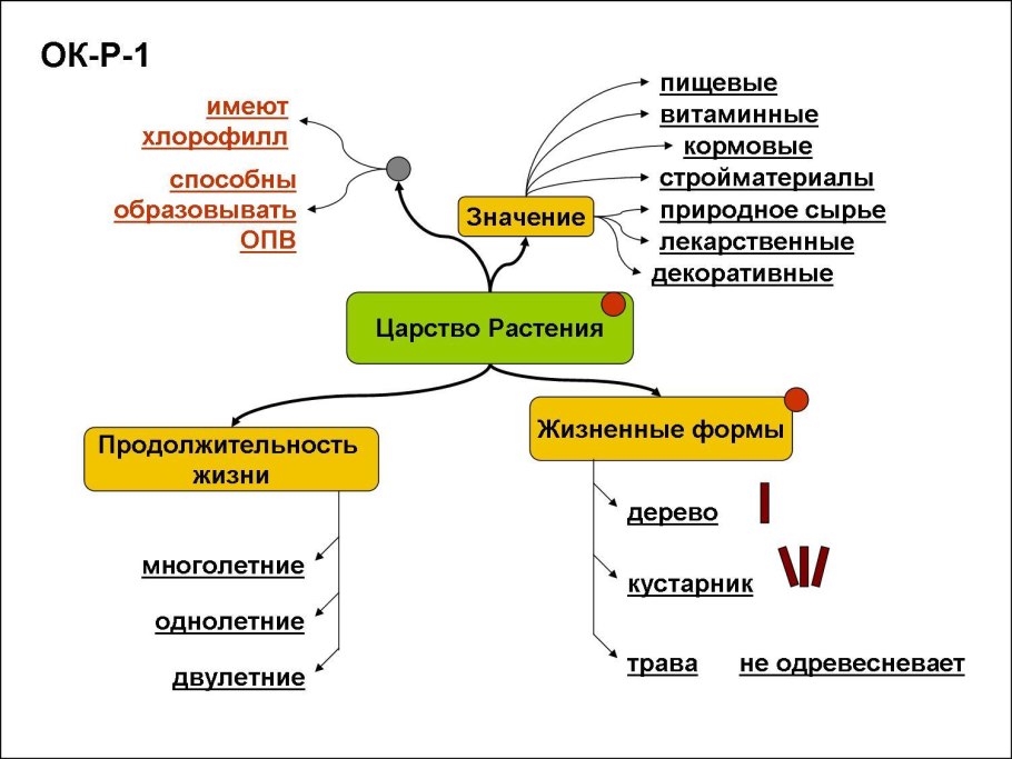 Культурные растения
