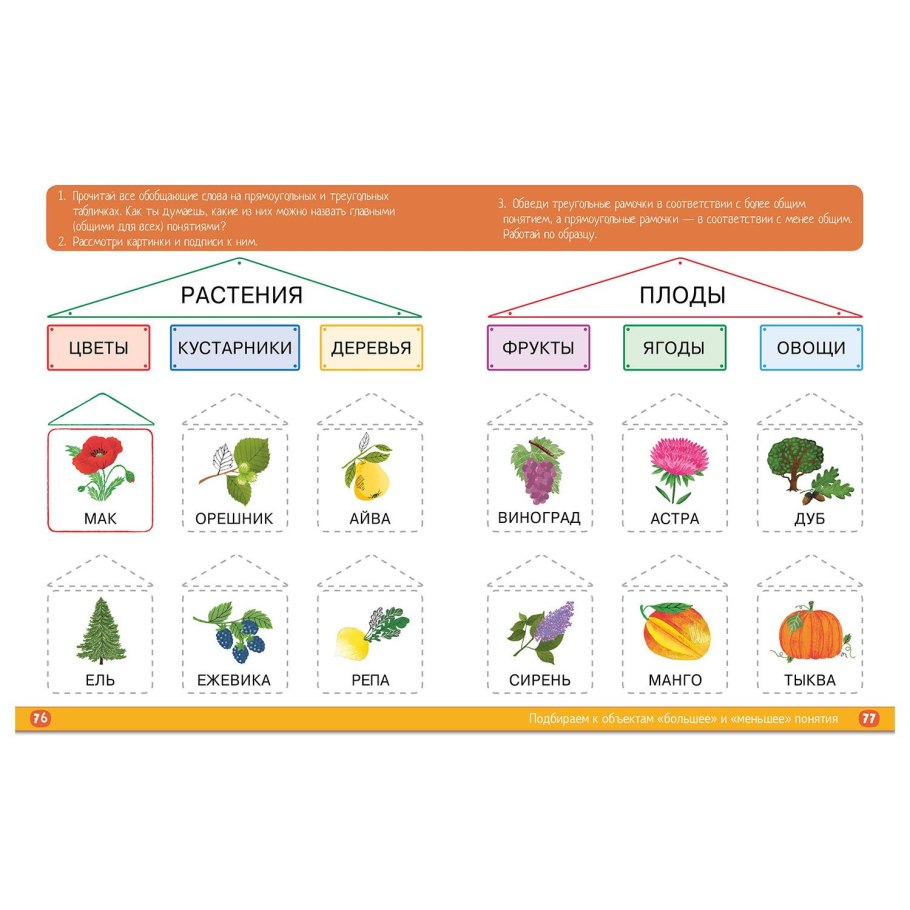 Растения для дошкольников