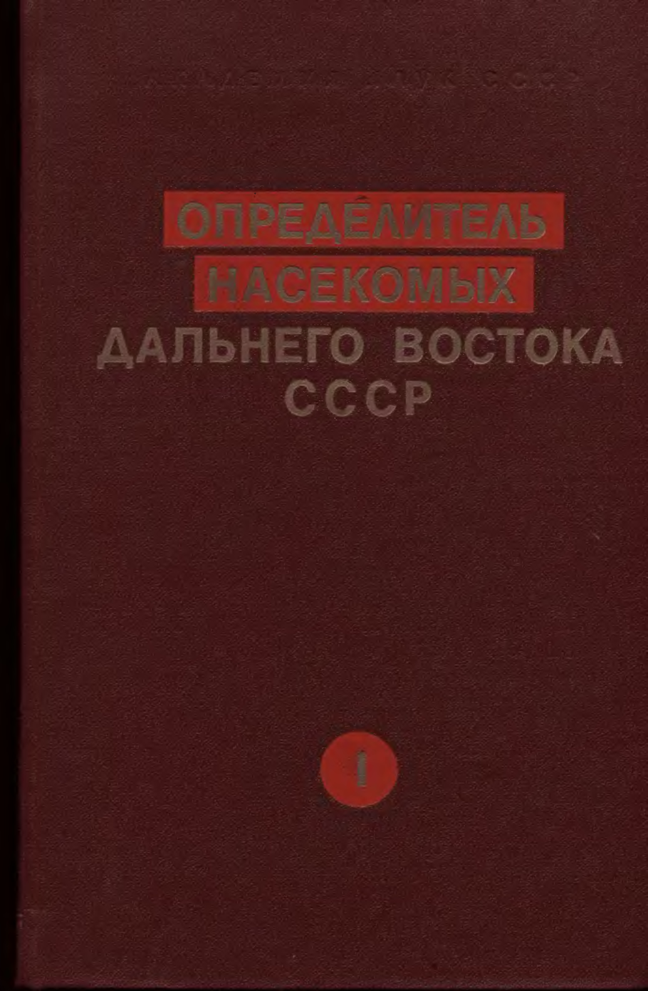 Первоцвет в Приморье (адонис)