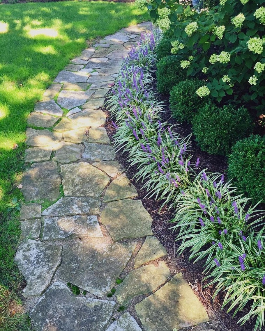 Агератум в рабатке