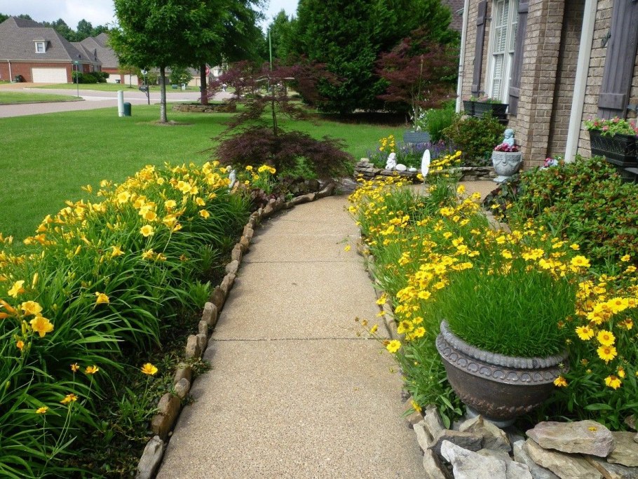 Хвойные рабатки