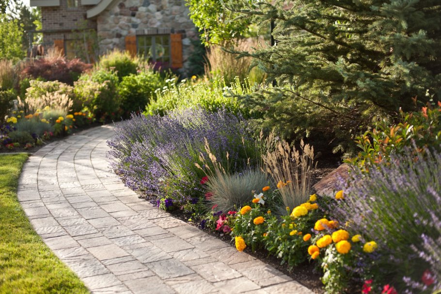 Клумбы, рокарии, рабатки