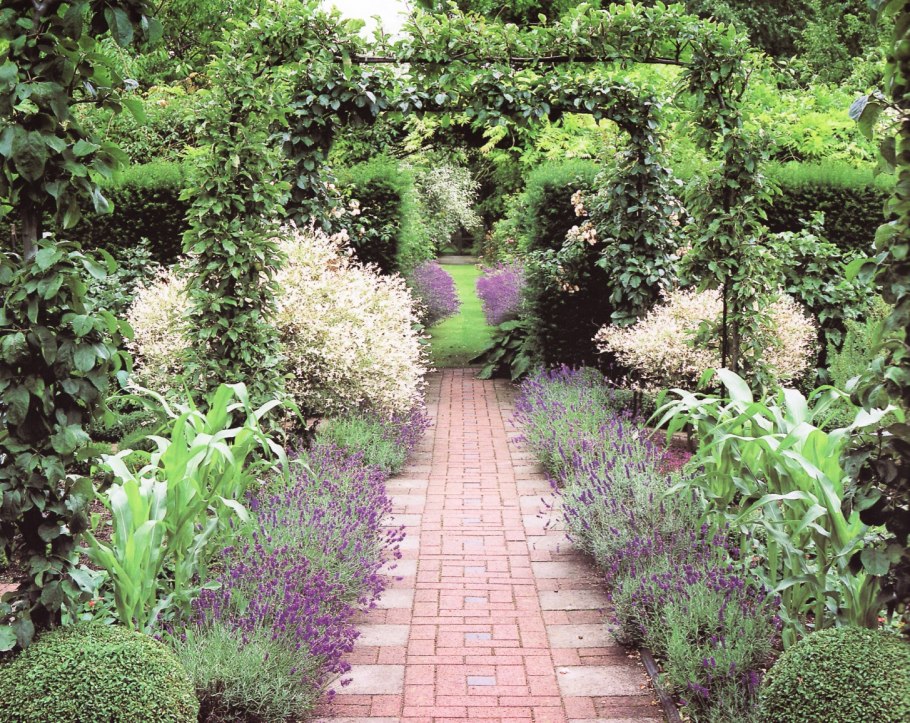 Бордюрные растения многолетние низкорослые