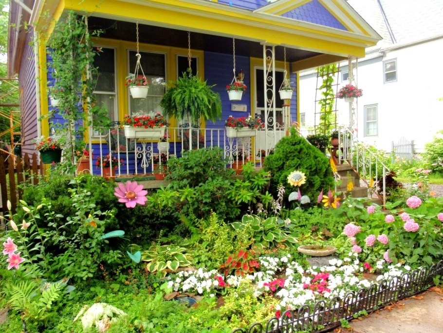 Палисадник Энфилд