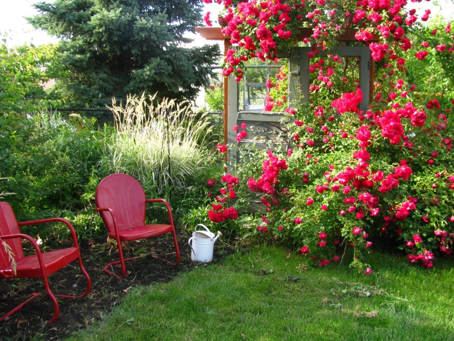 Красивые цветы в саду и на даче