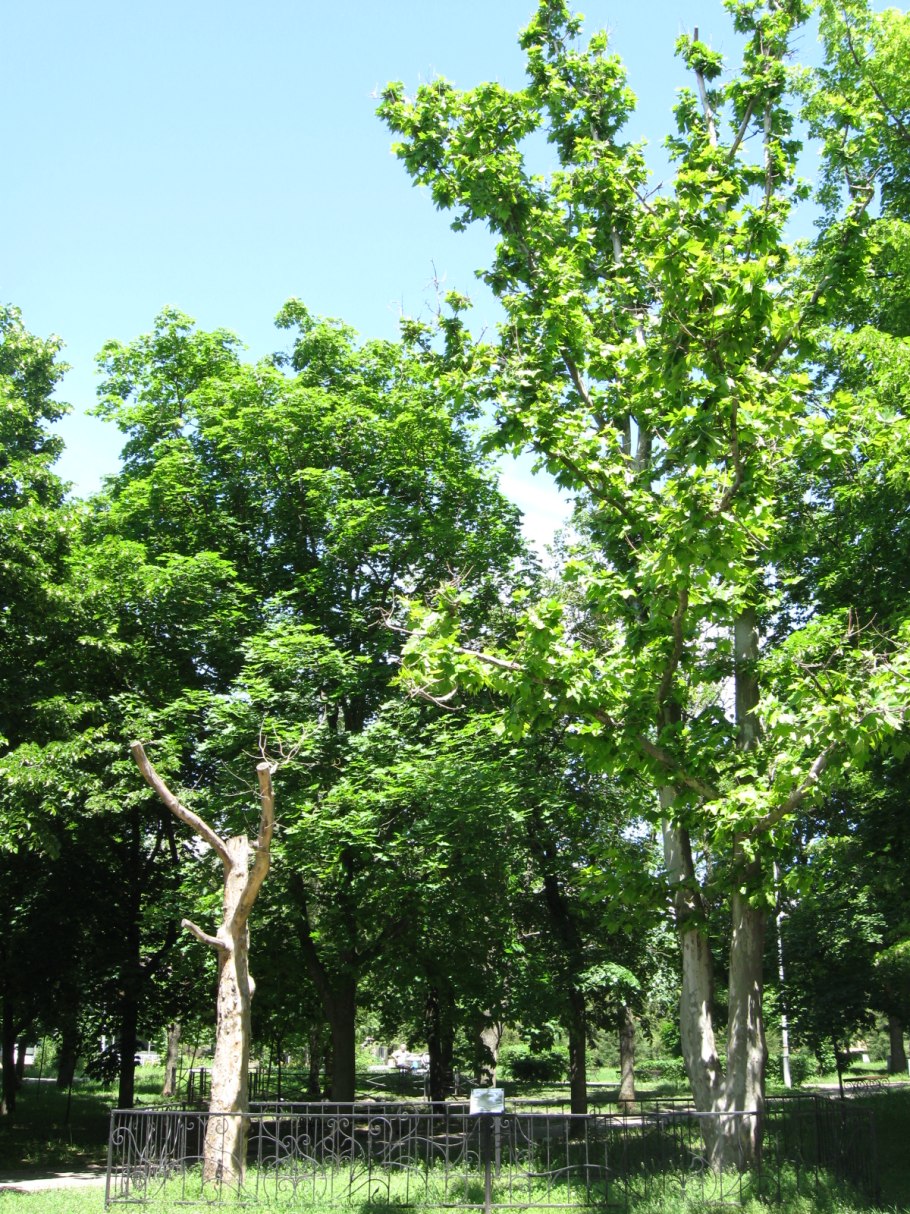 Фрязино заводской проезд дом 2