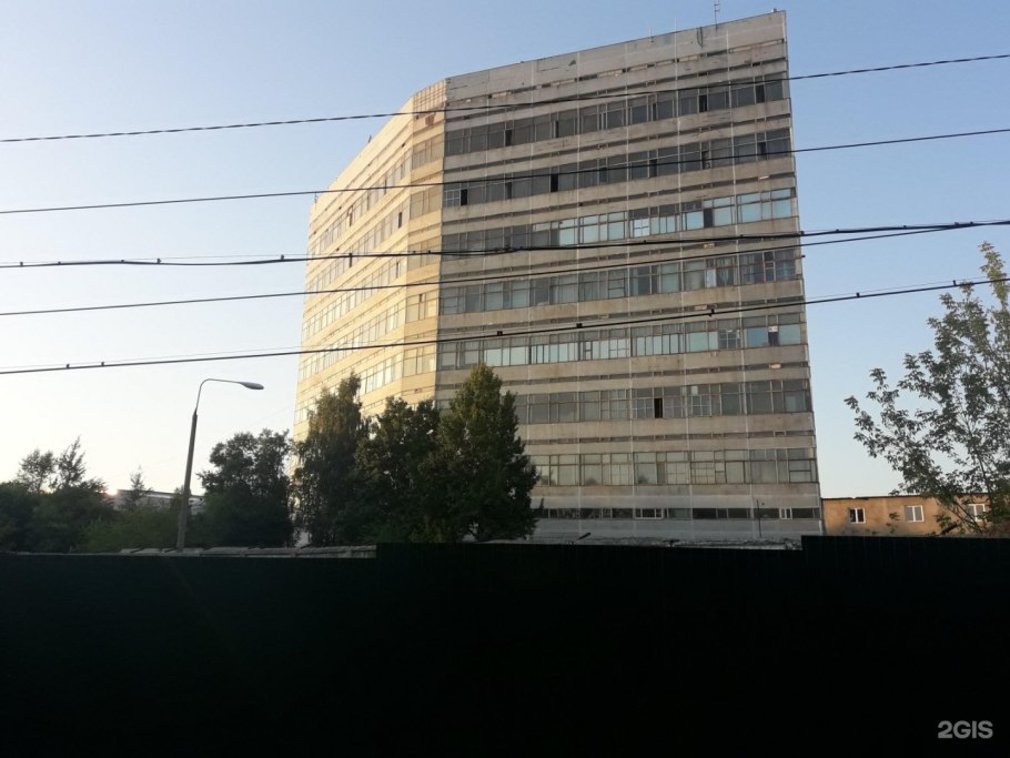 Кишинев платаны