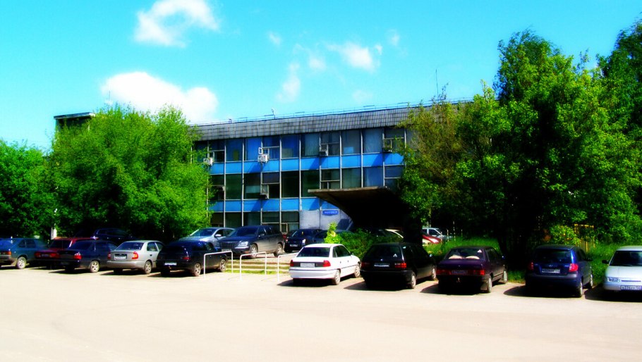 Платан Толстого Гаспра