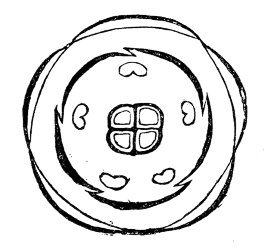 Медуница весной