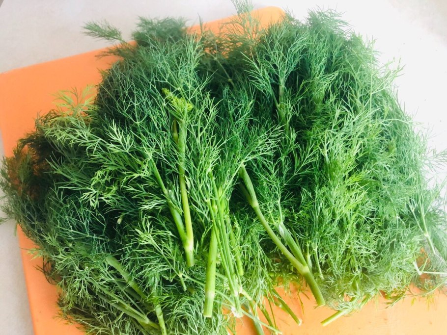 Dill pk6015-20