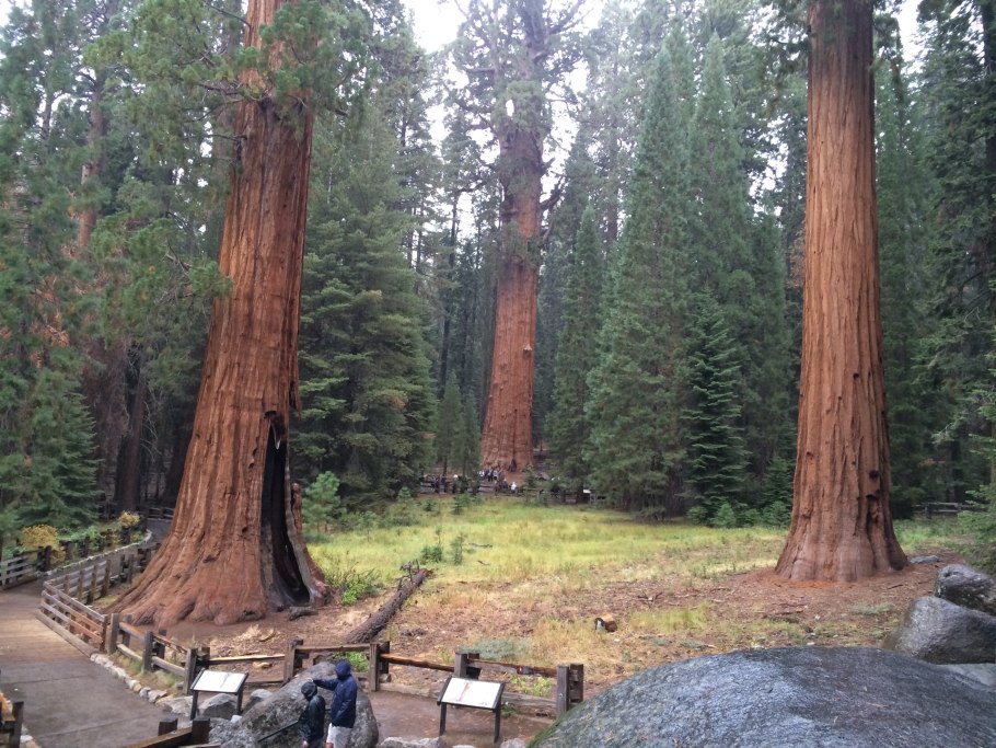 Sequoia National Park from Air