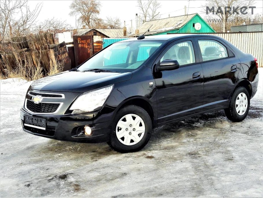 Спрус – канадская черная ель