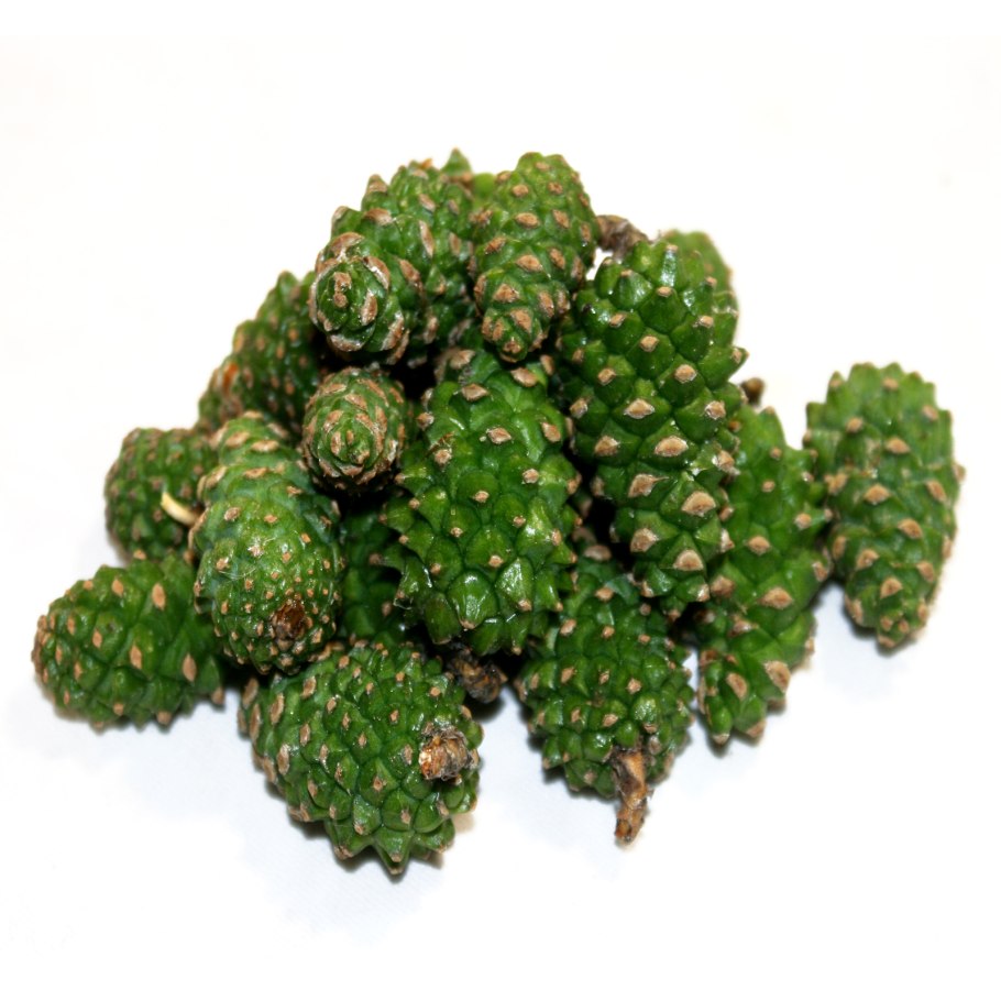 Сосновые шишки и Живица