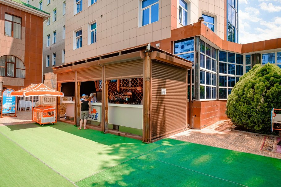 Кипарис Ольгинка