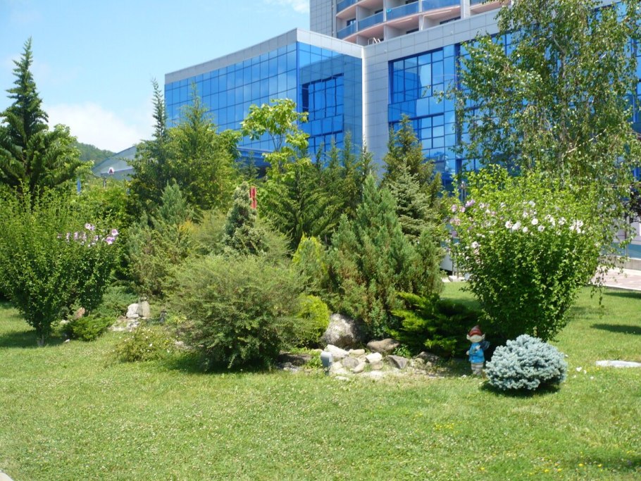 Ольгинка Туапсе отель