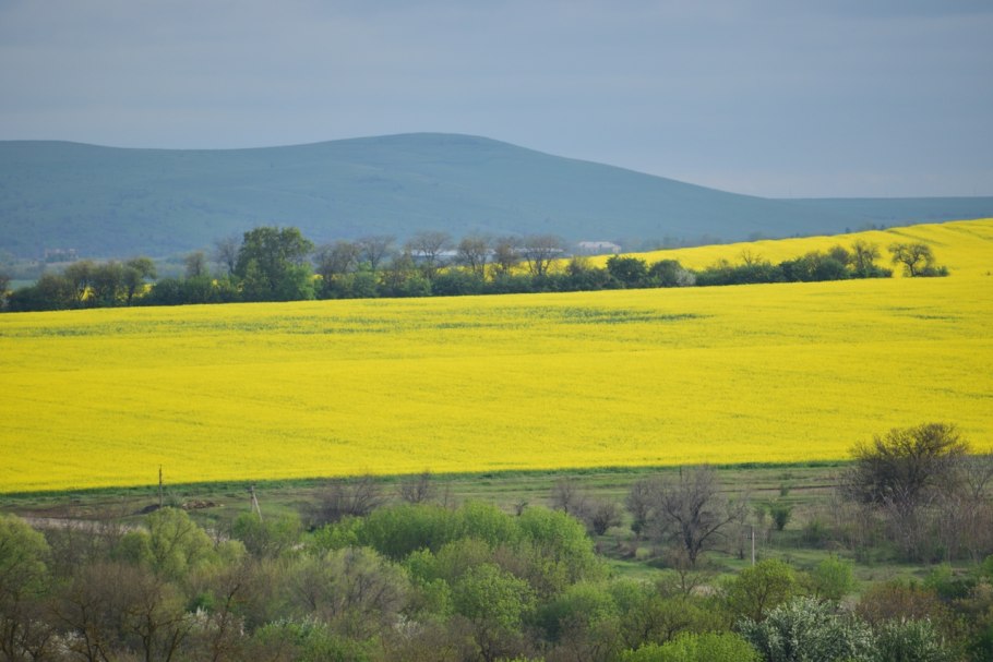 Кубанская степь краснодарский край