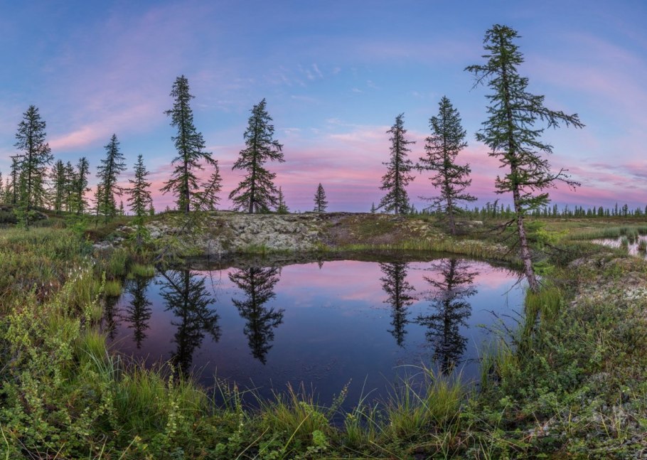 Заповедник Кивач в Карелии животные
