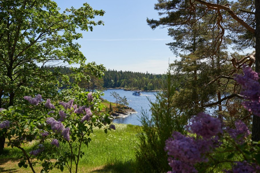 Костомукшский заповедник растительность