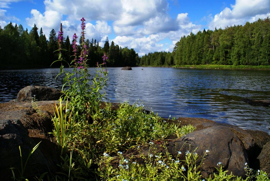 Водлозерский национальный парк