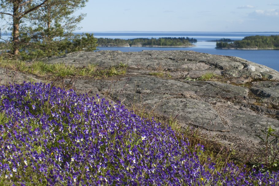 Заповедник Кивач Карелия болота