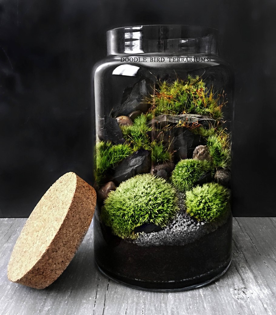 Terrarium Moss террариумный мох