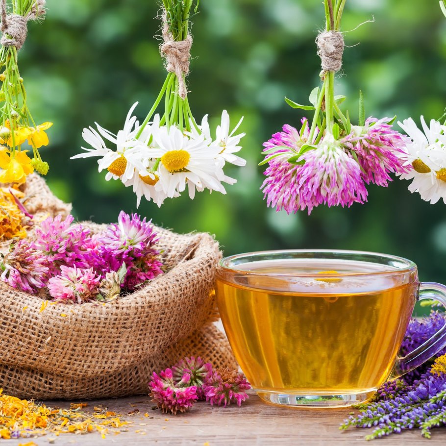 Шалфей это эстрагон