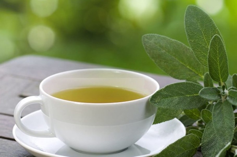 Душица мята шалфей