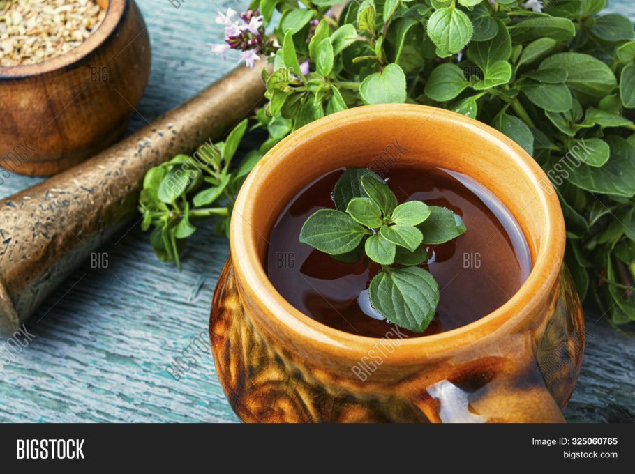 Чай с орегано душицей