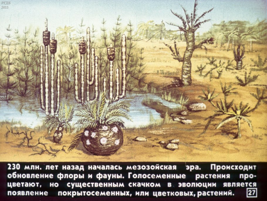 Араукарии Пермский период