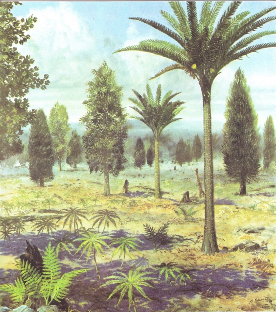 Мезозойская Эра Юрский период Флора