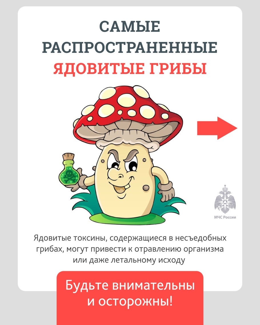 Несъедобные грибы мухомор