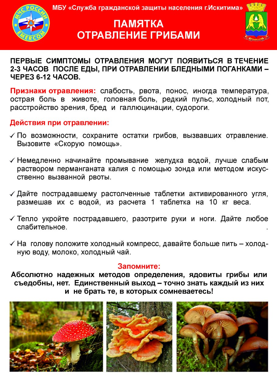 Абрус молитвенный (Crab´s Eye)