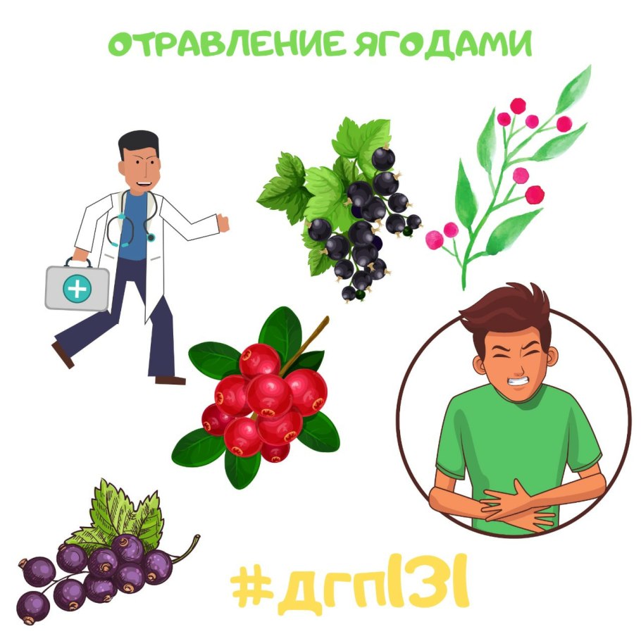 Мухомор желтоножковый