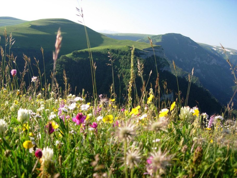 Горы Крыма Луга