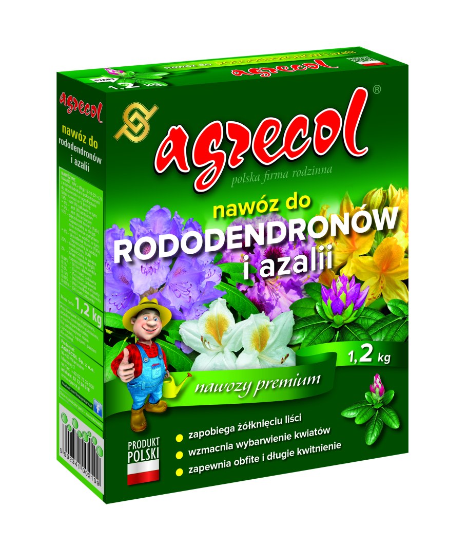 Рододендрон Schneeauge