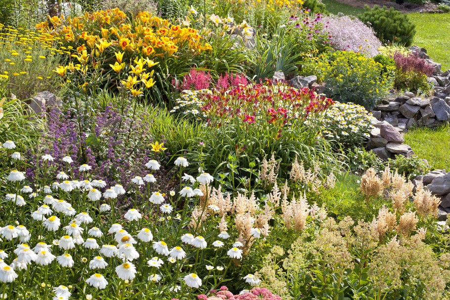 Иберис и алиссум клумба