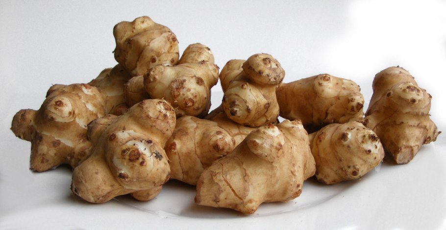 Иерусалимский топинамбур