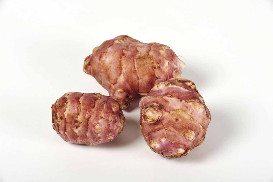 Земляная груша топинамбур