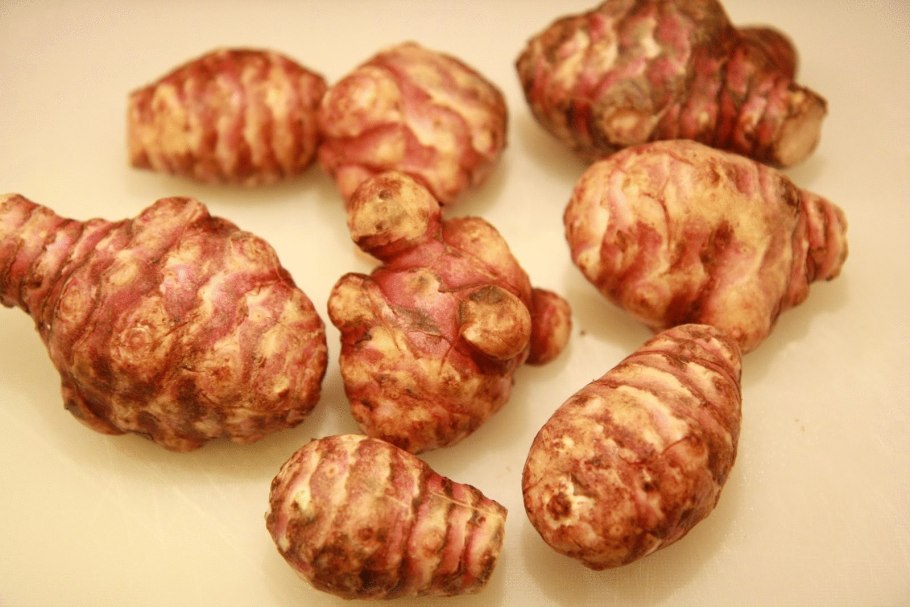 Топинамбур и гелиопсис